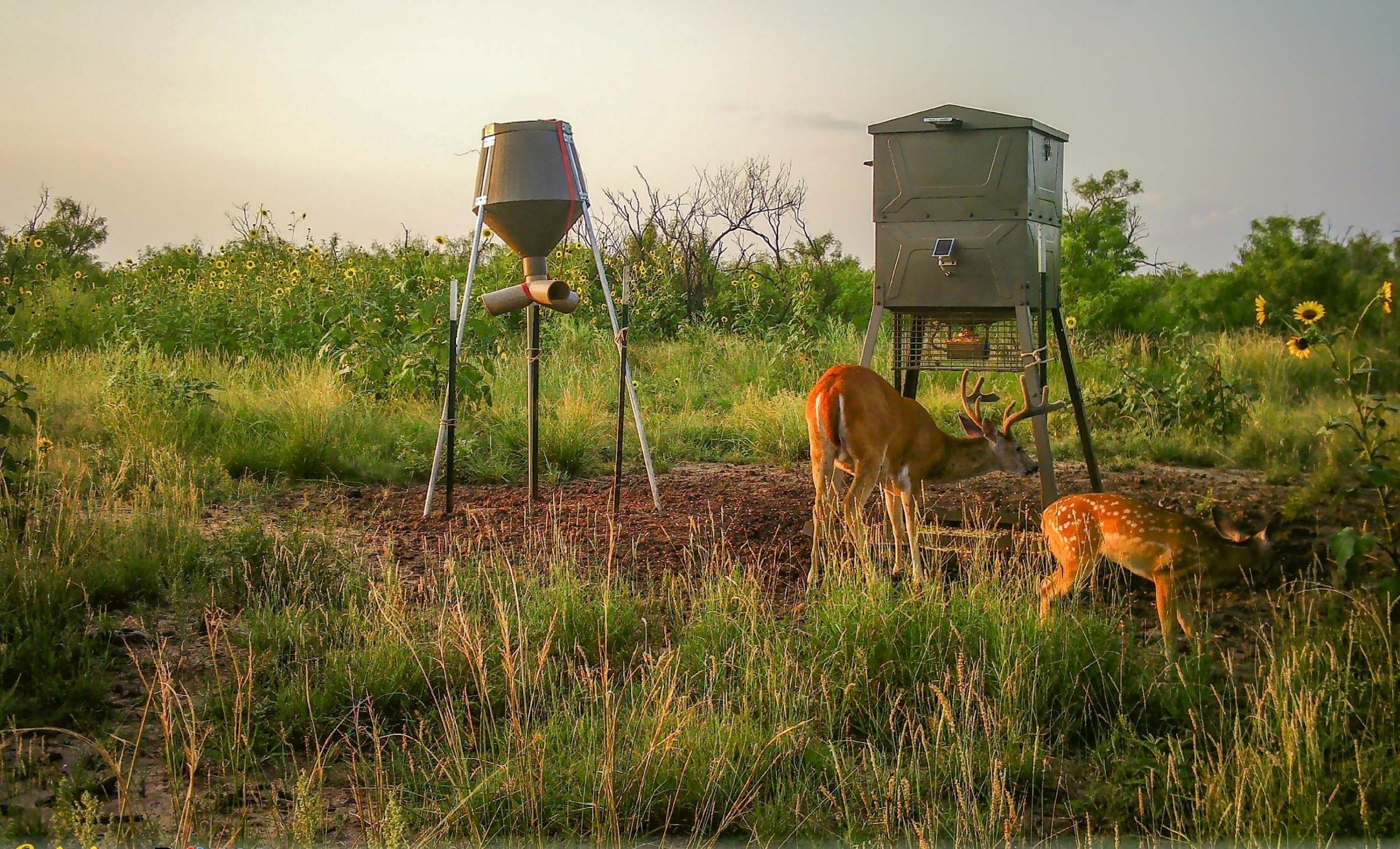 Thomas Ranch Chas S. Middleton